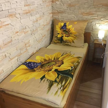 Apartman Slunecnice S Terasou Ceske Budejovice Luaran gambar