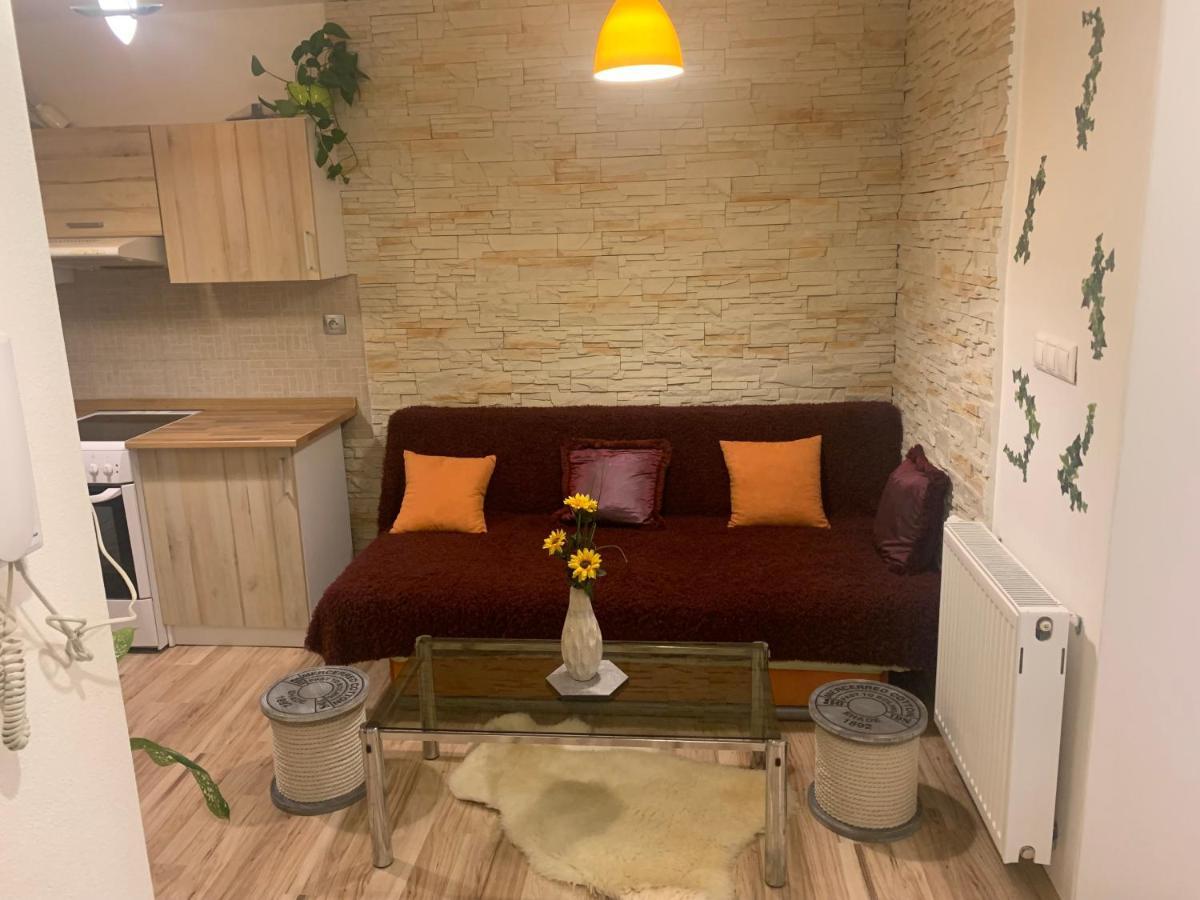 Apartman Slunecnice S Terasou Ceske Budejovice Luaran gambar