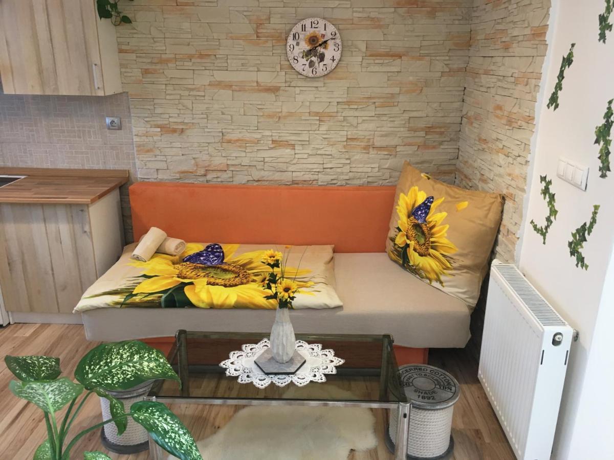 Apartman Slunecnice S Terasou Ceske Budejovice Luaran gambar